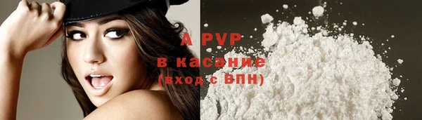 спиды Кодинск