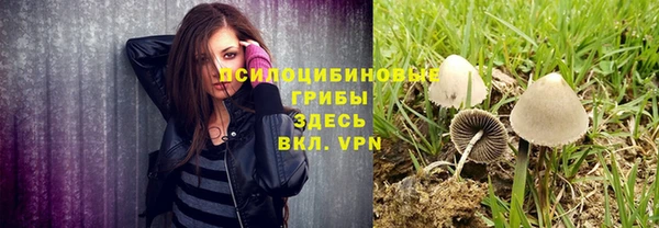 мдма Козловка