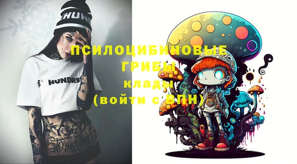таблы Козельск