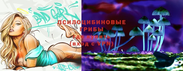 мдма Козловка
